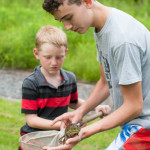 frog nature boys friendship learning woods