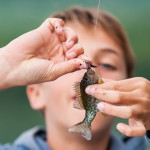 fishing boys campers nature fish kingswood camp overnight